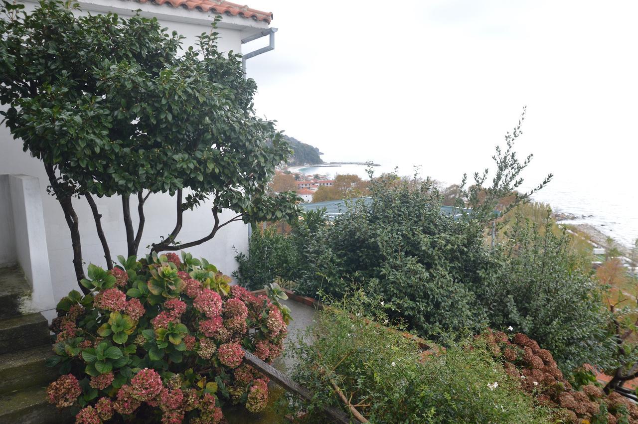 Pelion Orama Apartment Agios Ioannis  Екстериор снимка