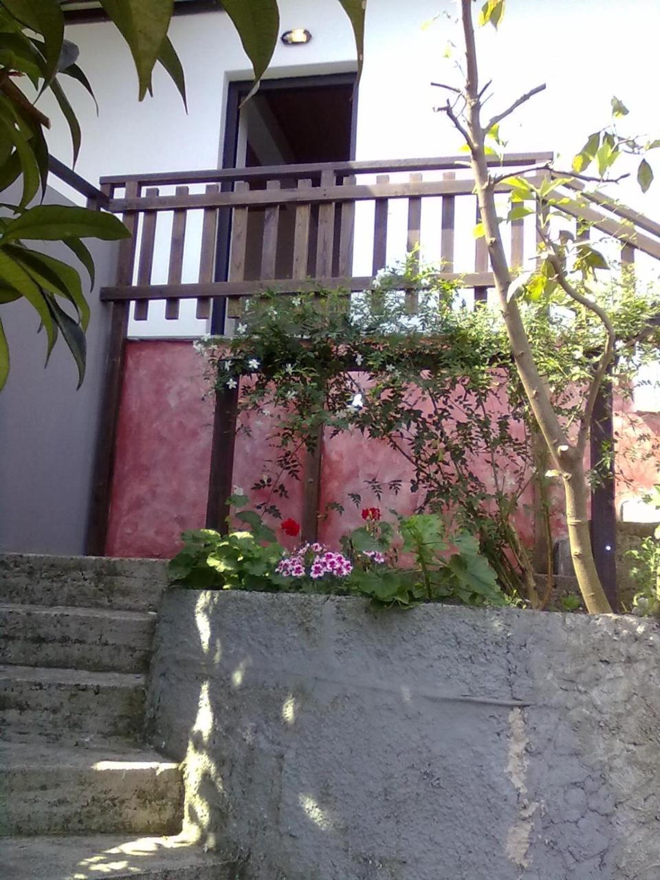 Pelion Orama Apartment Agios Ioannis  Екстериор снимка